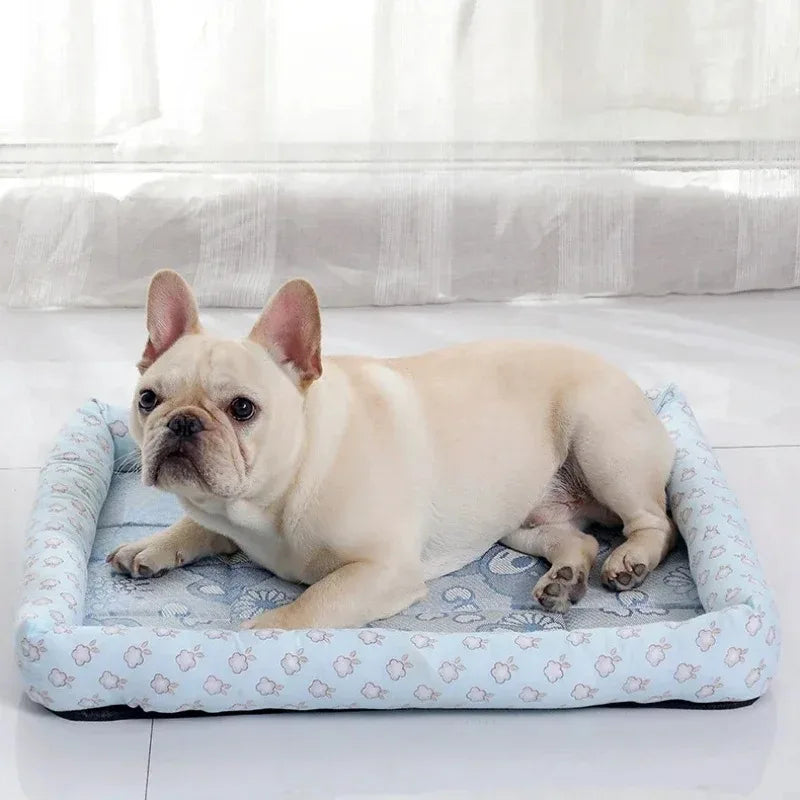 Transforme o Banho do Seu Pet em um Momento de Conforto e Diversão!

🐾 Bathroom Puppy – Luvas Massageadoras de Silicone para Pets 🐾