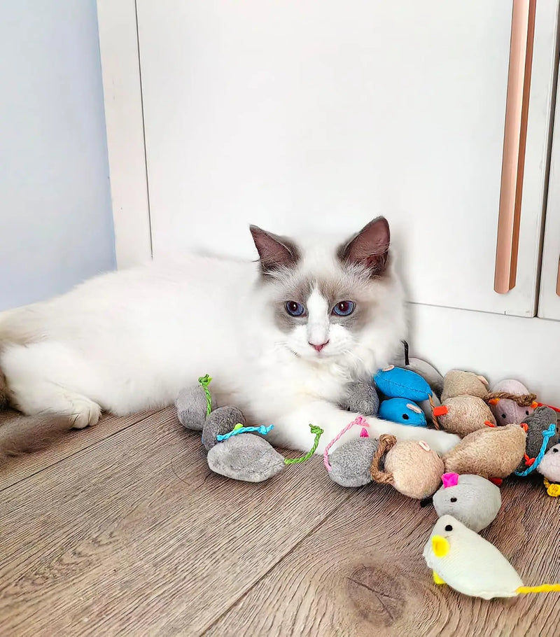 🐈🐀 Kit de Brinquedos para Gatos - Ratinhos com Catnip 🐈🐀